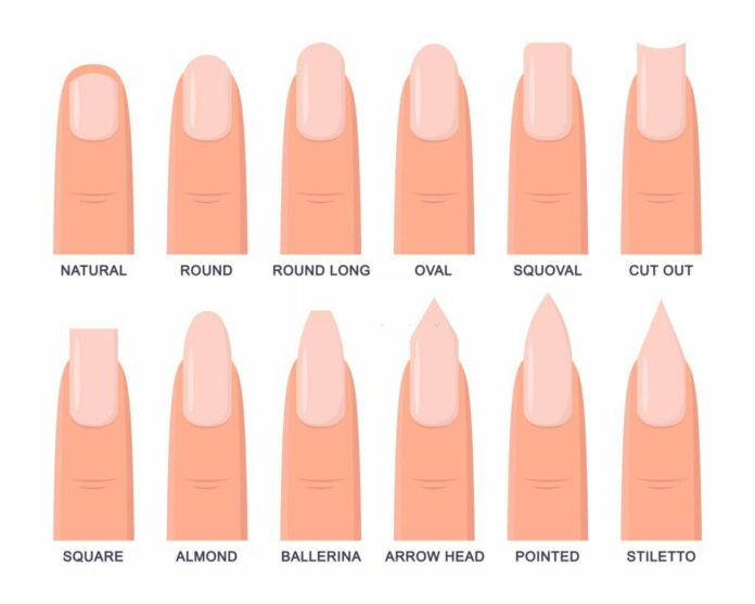 les différentes formes d'ongles